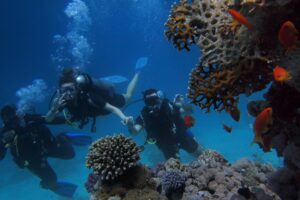 Scuba Diving and Watersports Combo at Malvan Beach Konkan